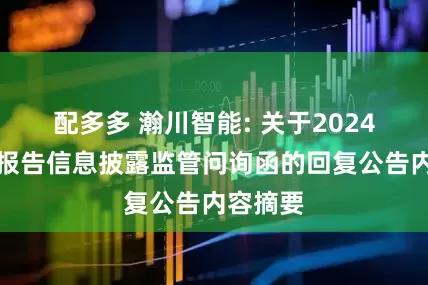 配多多 瀚川智能: 关于2024年年度报告信息披露监管问询函的回复公告内容摘要